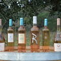 Vignobles de Ramatuelle